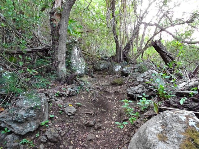 Le sentier pentu menant de la plage au Verger Hémery