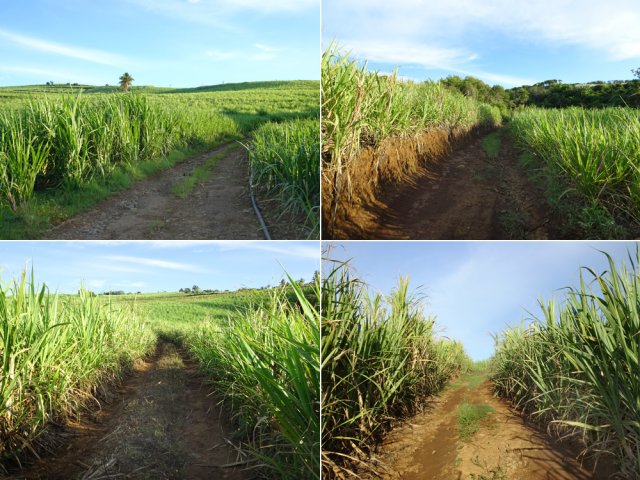 Quelques exemples de pistes empruntées pour rejoindre la Rue des Jacques