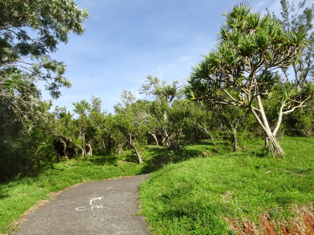 Petit raidillon à la fin de l'Impasse des Grévilléas