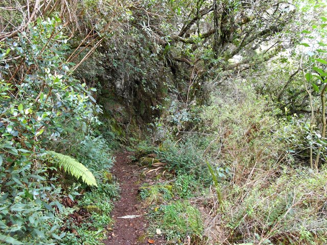Le même dans un endroit plus sauvage