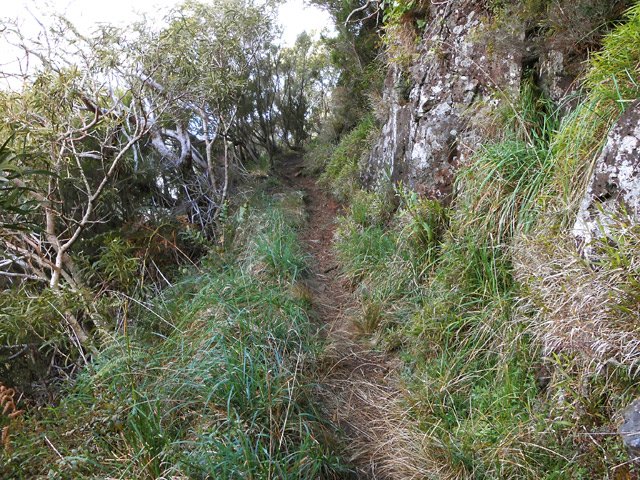 Sentier étroit près d'une barre rocheuse