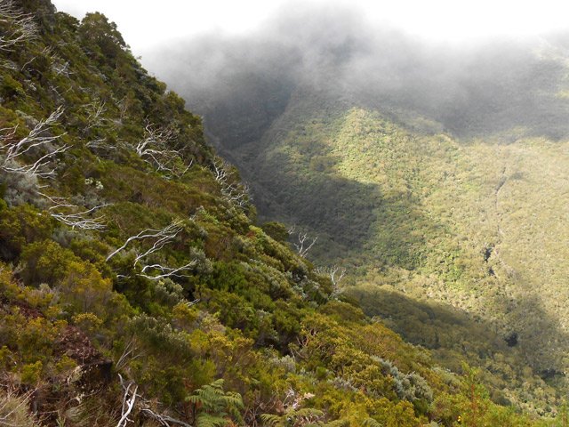 Coup d’œil sur le Rond en milieu de montée
