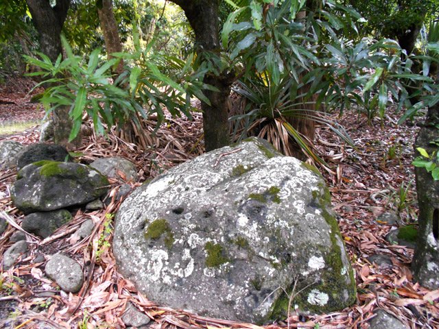 Les roches ont été regroupées pour récupérer de la place arable