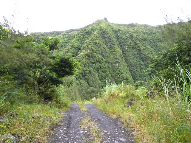 La même piste lorsqu'elle arrive à la Rivière des Remparts