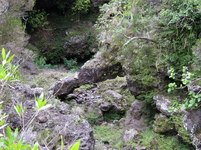 L'arche naturelle dans le fond de la ravine