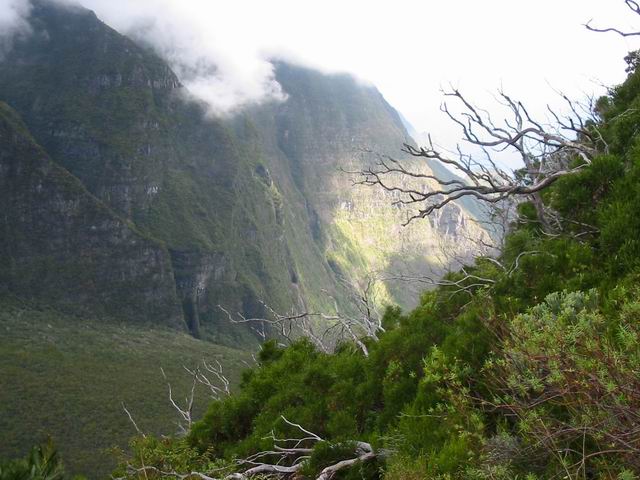 La vallée de la Rivière des Remparts