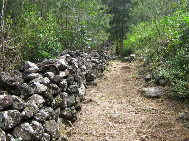 Le sentier à la sortie de Roche Plate