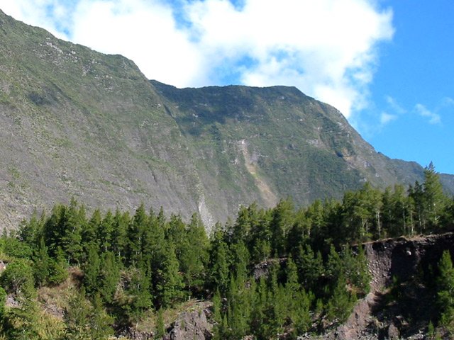 L'arrivée au Barrage, un amoncellement recouvert de filaos