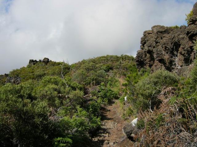 Le sentier du Petit Bénare avec ses rochers et ses dykes