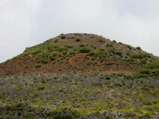 L'arrivée au Piton Rouge et ses sculptures