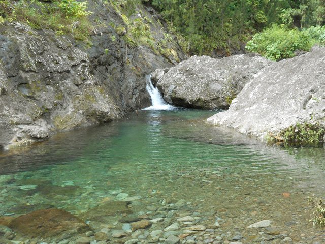 Superbe bassin d'eau limpide pour des idées de trempette
