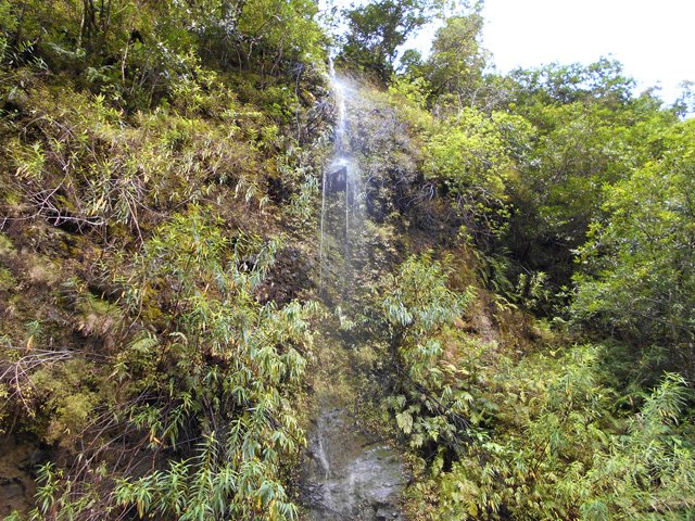Des petits pisse en l'air tout le long de la remontée