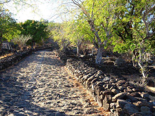 Les deux aires sont plus ombragées que le reste de la piste
