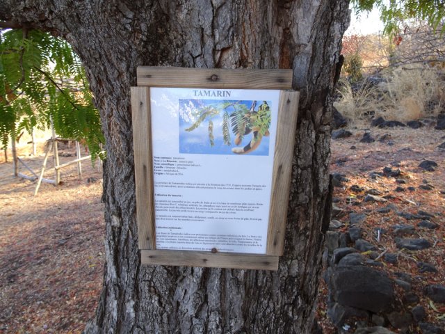 Quelques panneaux renseignent sur les plantes du lieu