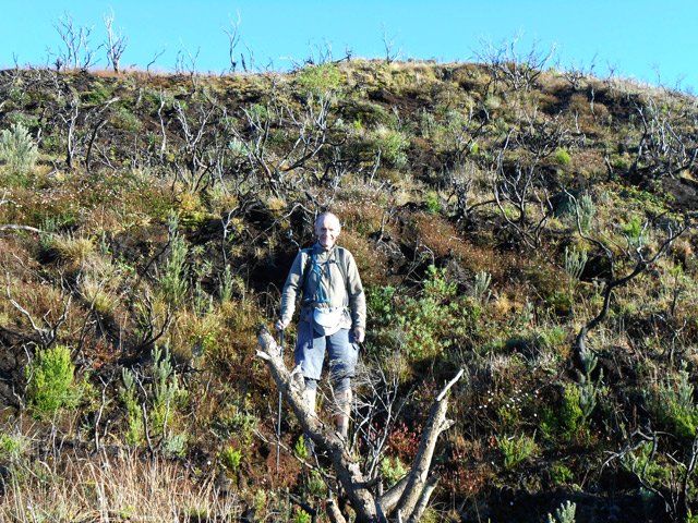 La descente des flancs du Piton de Sable en hors sentier facile