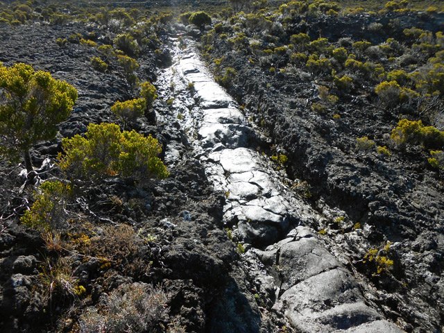 Le haut d'un tunnel de lave qui évite de marcher sur les gratons