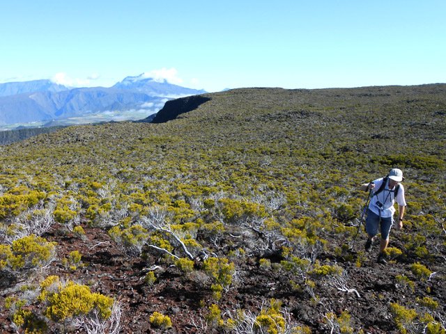 Une autre idée de la facilité de cheminement dans ces brandes rases