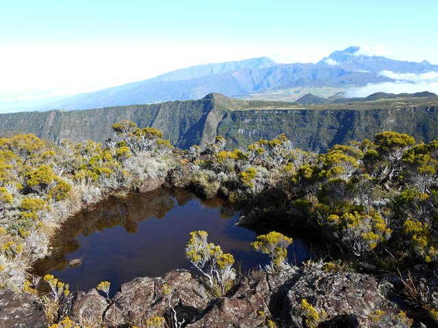 Une adorable petite mare à moins de deux mètres du vide