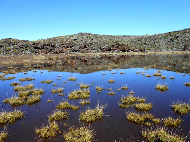 Aucun risque de noyade dans le petit lac du Puy du Pas des Sables, très accessible
