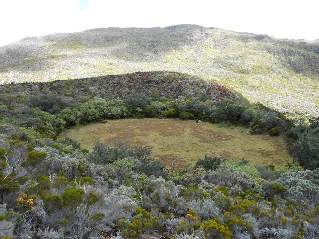 Le fond du Piton Caverne Pomme de terre, lieu de repos des petites vaches de la "Plaine"