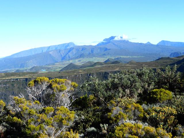 Branles verts et petits tamarins des hauts constituent l'essentiel de la végétation