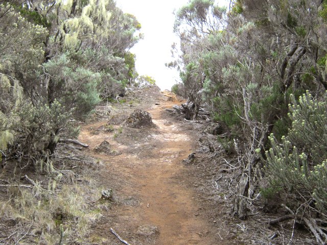 Le Sentier Jacky Inard dans les branles gris