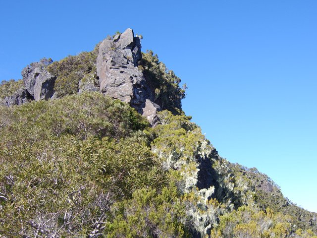 On voit mieux la raison de l'installation de cette échelle