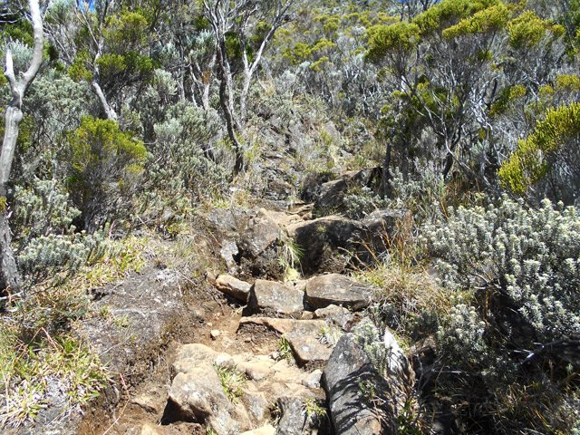 La suite s'effectue sur une pente encombrée de cailloux et branles gris