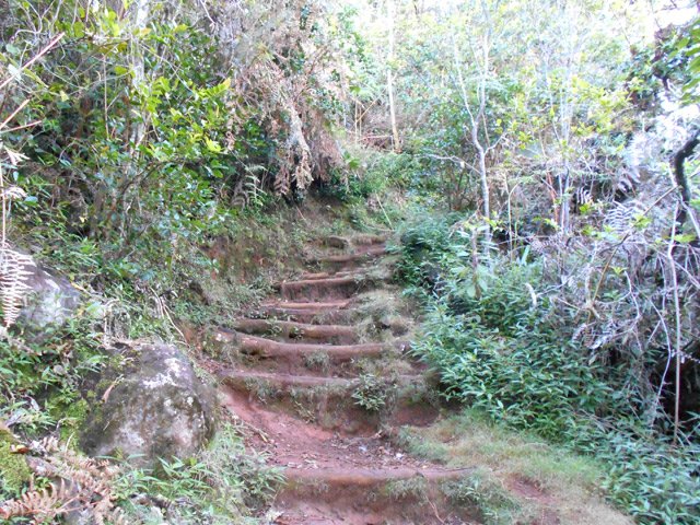 Le sentier débute par des marches en terre parfois glissantes