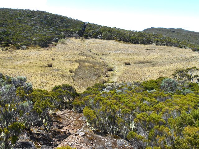 Une large clairière avant d'entamer la montée au sommet