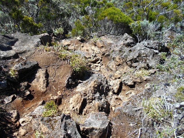 Début de la descente sur un sentier très caillouteux
