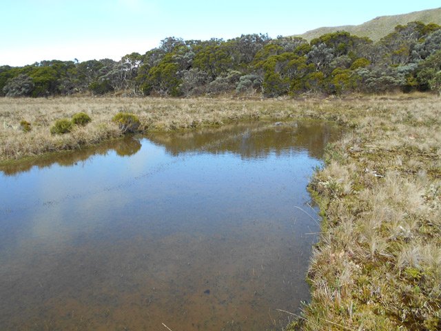Quelques larges flaques stagnent sur le plateau du Kerveguen