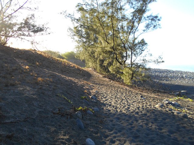 Le sentier passe au plus près de la plage de galets