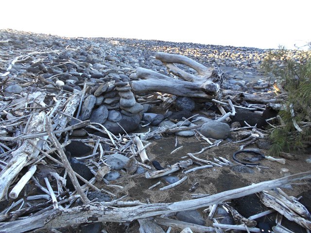 Fakir, en avril 2018, a transporté des forêts entières !