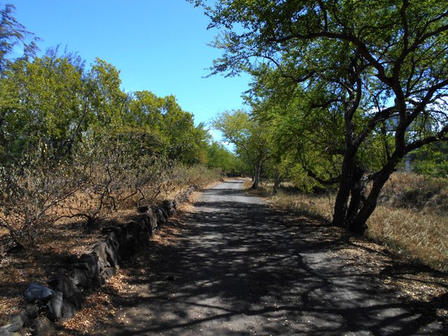 La piste près de la voie rapide, très bruyante