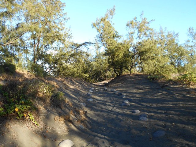 Le sentier est tout le long bordé de galets