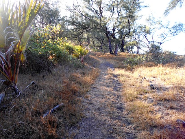 Les portions sans sable sont très rares et permettent d'accélérer le pas