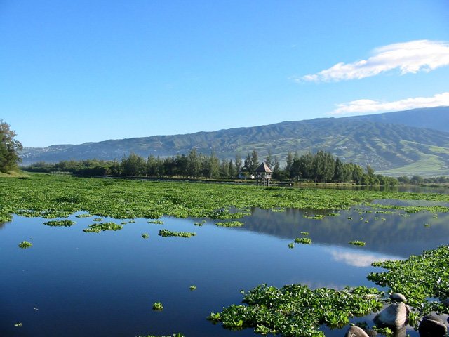 Une autre vue sur l'étang et les alentours.