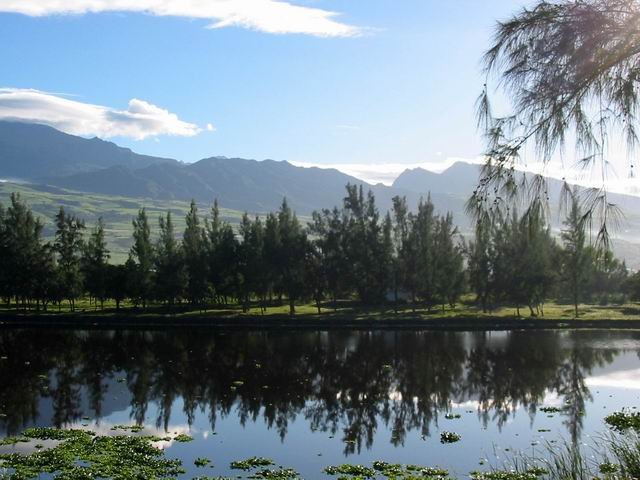 La partie ouest de l'étang du Gol. A l'arrière, la chaine du Bois de Nefles.