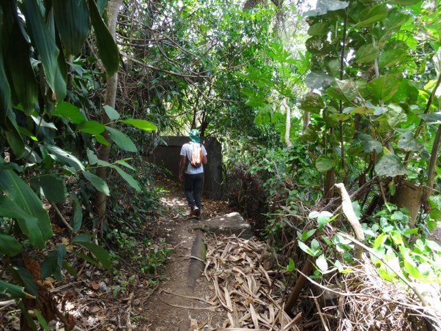 Début du sentier entre quelques cases