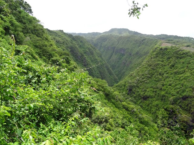 La vallée de la Ravine du Chaudron vers l'amont