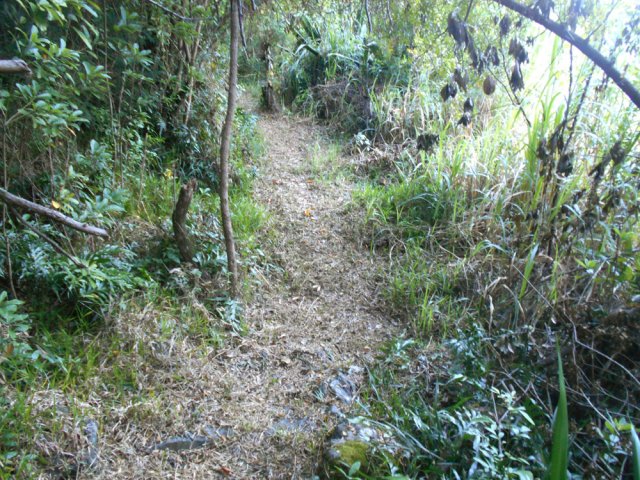 Dès les premiers mètres on remarque le nettoyage effectué