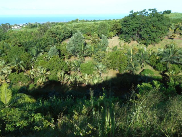 Depuis le stade, vue d'une partie du parcours de Bel Air