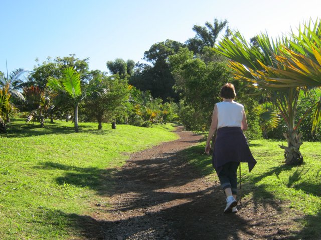 Après la descente des rochers, le circuit devient une balade