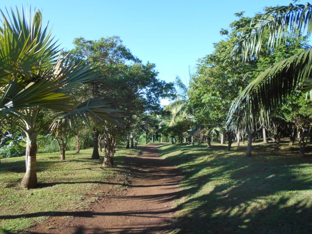 Une idée de la piste très fréquentée