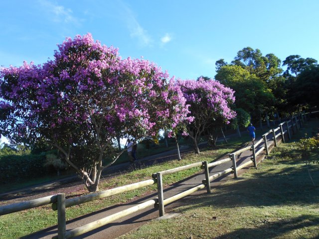 La dernière montée vers l'entrée du parc