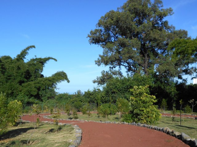 Les jeunes plantations du parc Marc Rivière