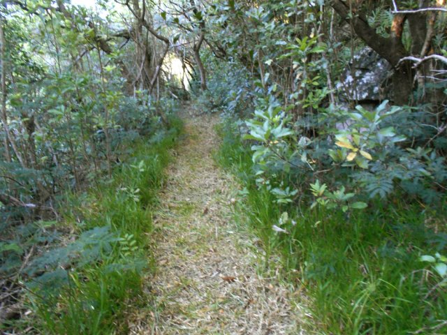 En rive droite, le sentier est tout aussi propre