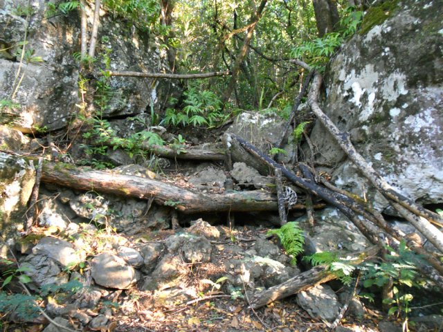 Un vestige des marches installées lors des premiers travaux