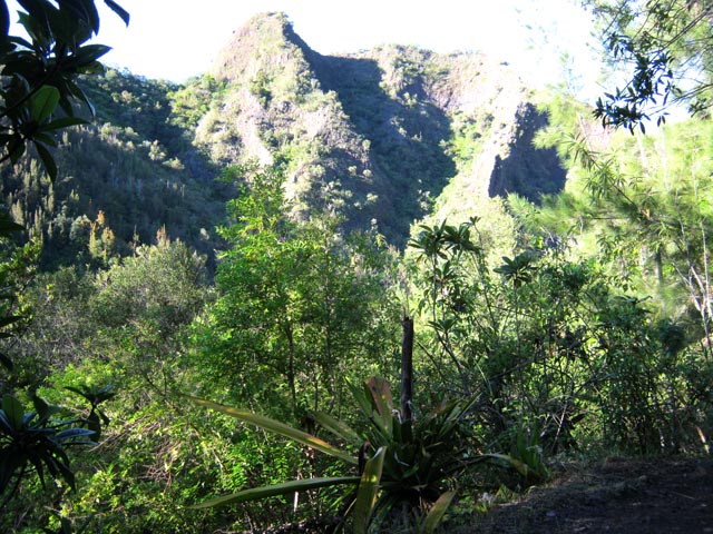 A l'ombre sur le GR mais le soleil n'est pas encore gênant